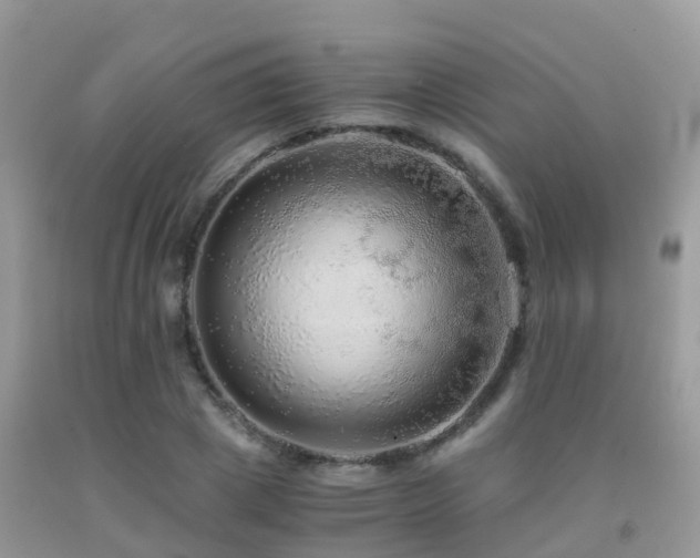 X0000091940833200709051521