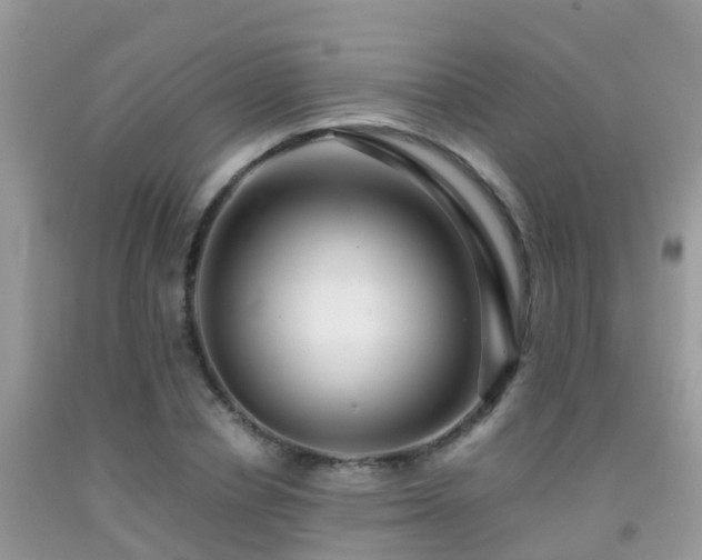 X0000091940834200709051521