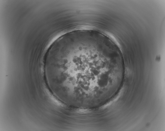 X0000091940835200709051521