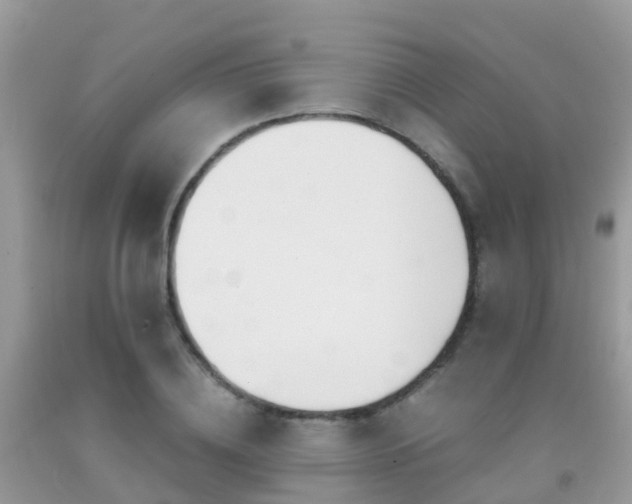 X0000091940836200709051521