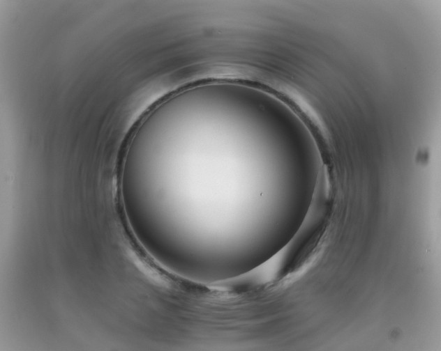 X0000091940837200709051521