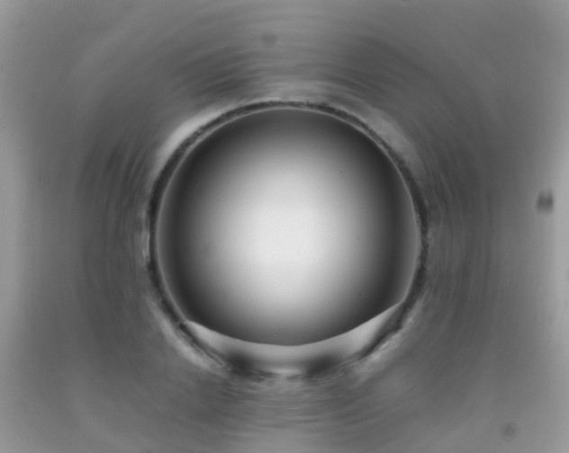 X0000091940838200709051521