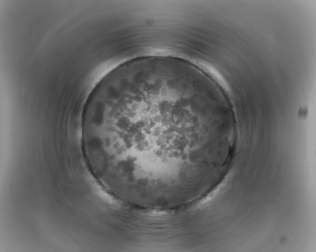 X0000091940839200709051521