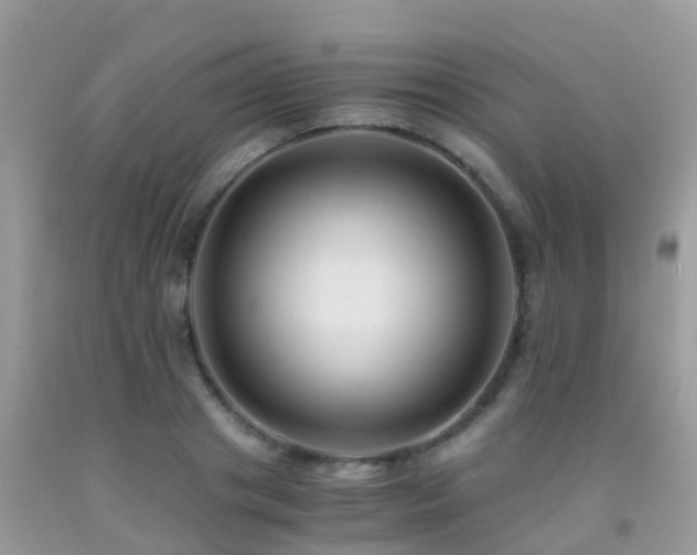 X0000091940841200709051521