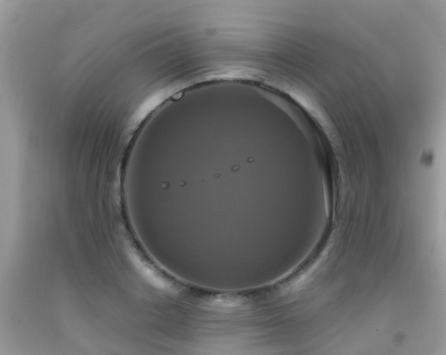 X0000091940842200709051521