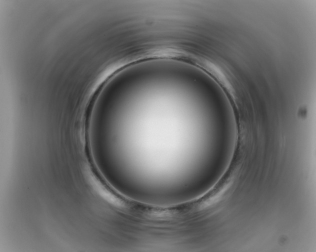 X0000091940843200709051521