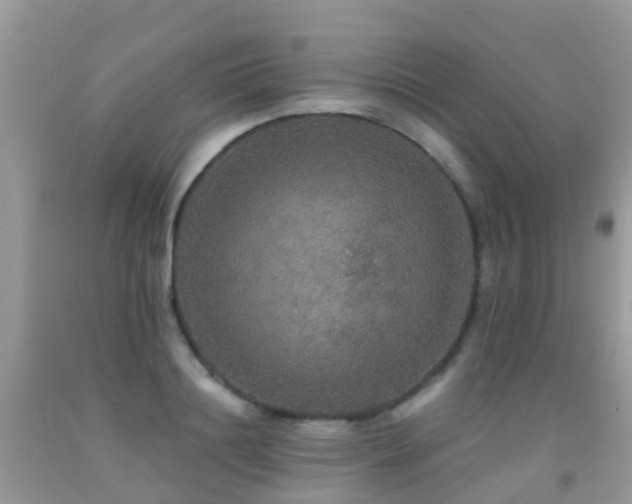 X0000091940844200709051521