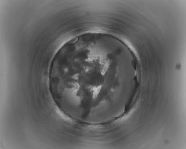 X0000091940845200709051521