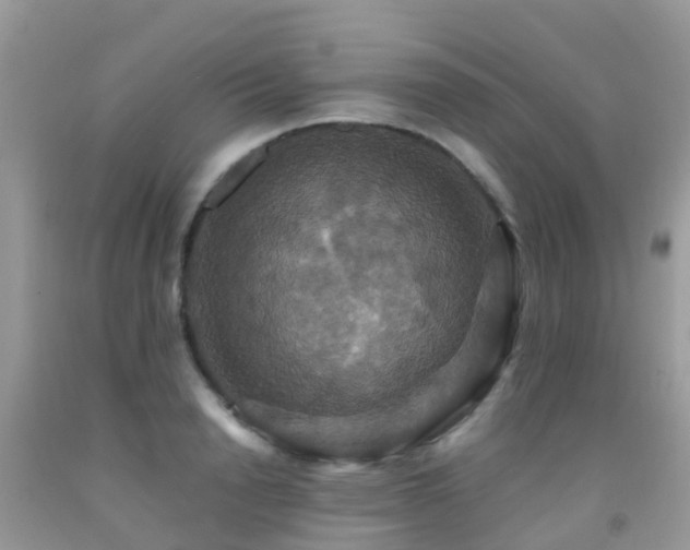 X0000091940846200709051521