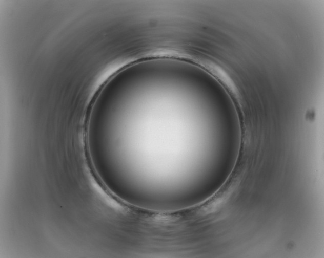 X0000091940847200709051521