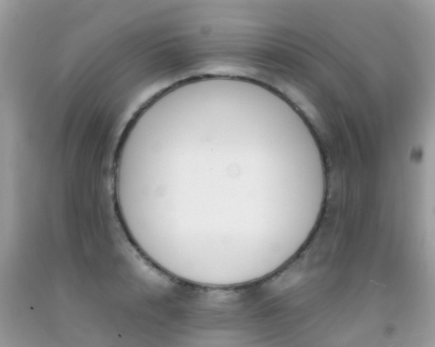 X0000091940848200709051521