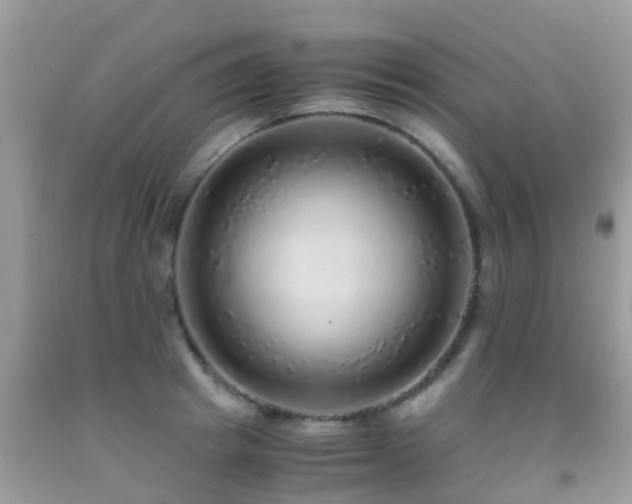 X0000091940849200709051521