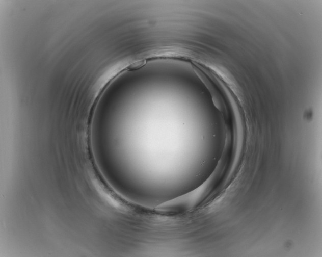 X0000091940850200709051521