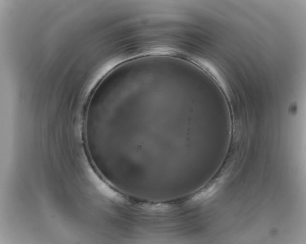 X0000091940851200709051521