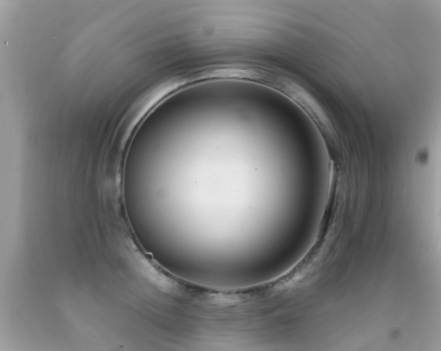 X0000091940852200709051521