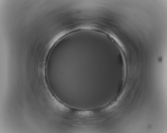 X0000091940853200709051521