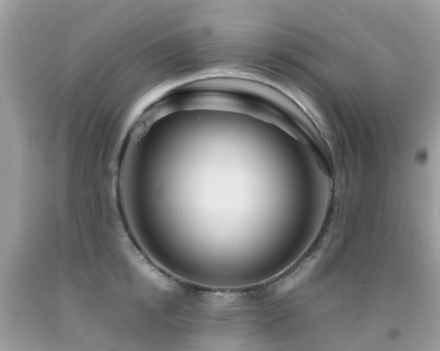 X0000091940854200709051521