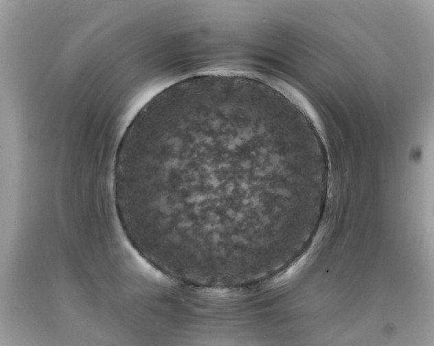 X0000091940855200709051521