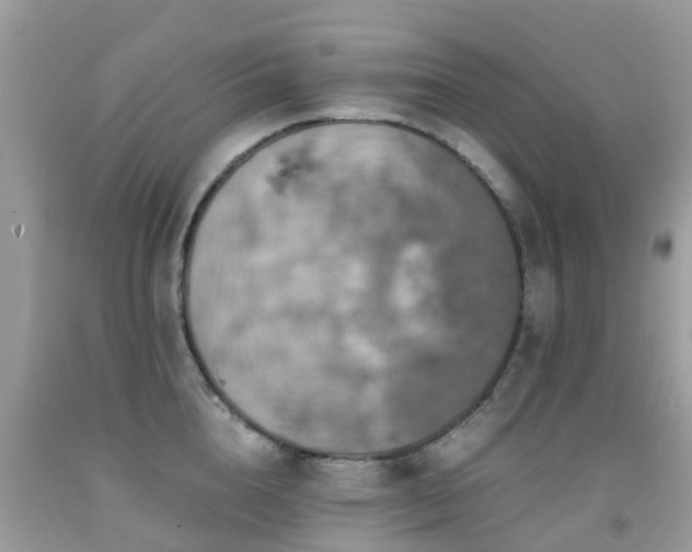 X0000091940856200709051521