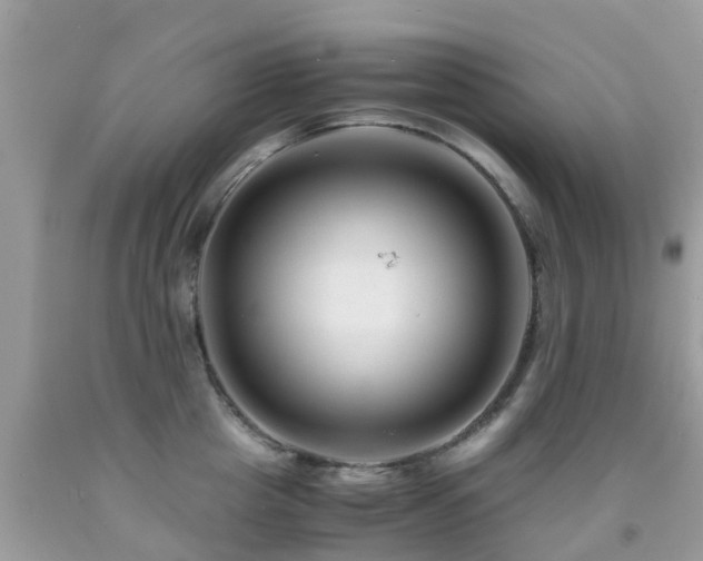 X0000091940857200709051521