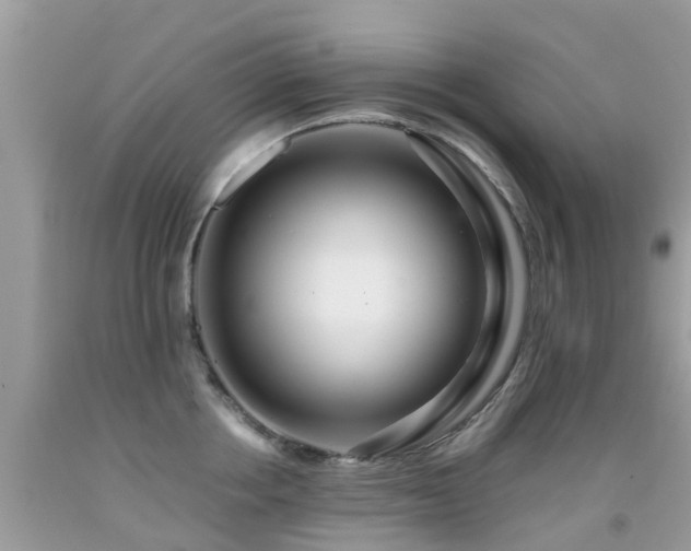 X0000091940858200709051521