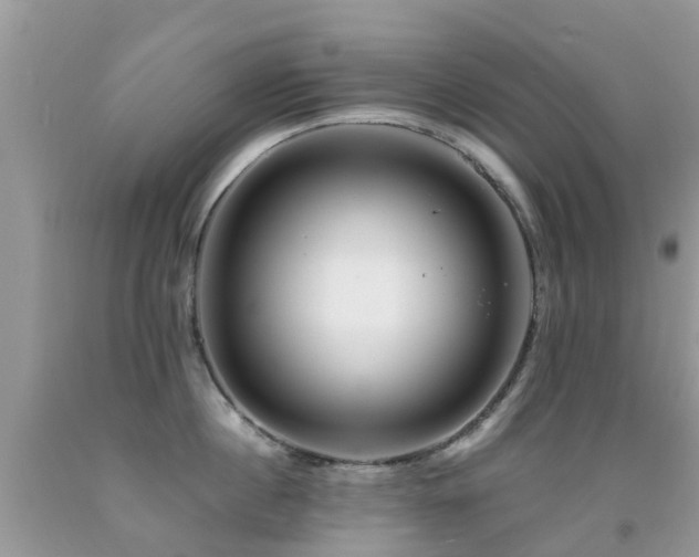 X0000091940860200709051521