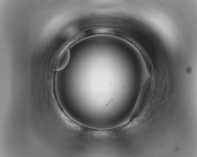 X0000091940861200709051521