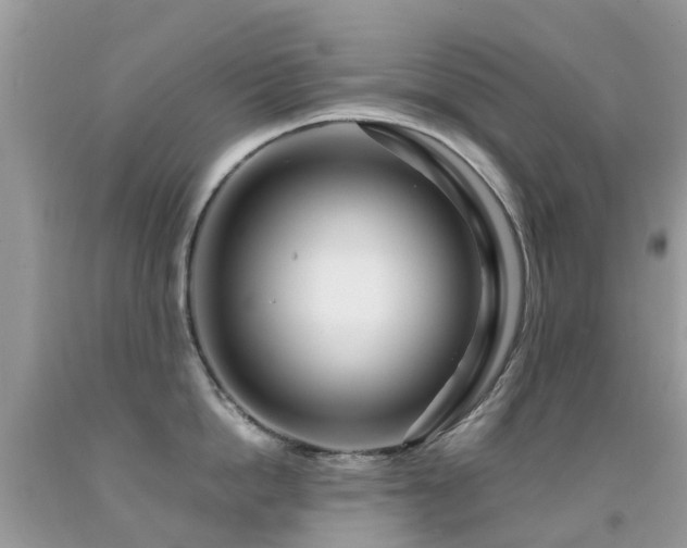 X0000091940862200709051521