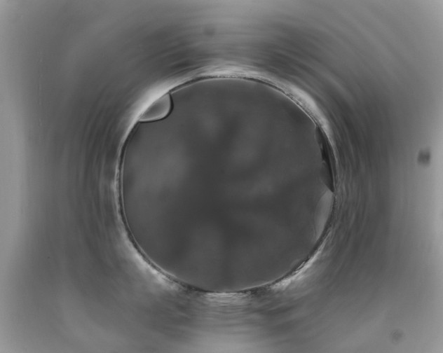 X0000091940863200709051521