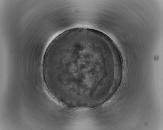 X0000091940864200709051521