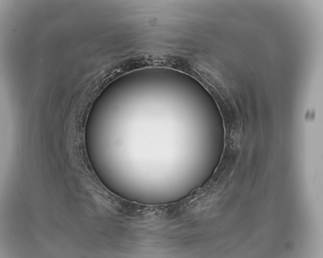 X0000091940865200709051520