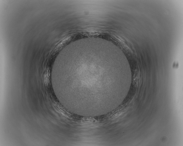 X0000091940866200709051520