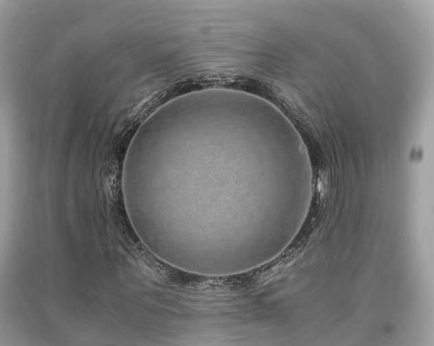 X0000091940867200709051520