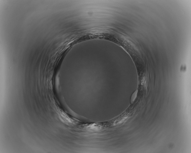 X0000091940868200709051520