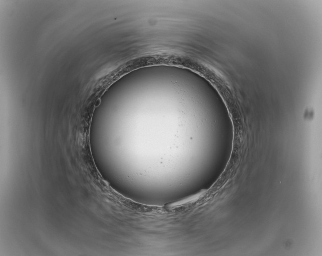 X0000091940869200709051520