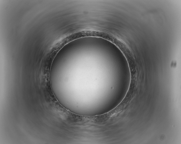 X0000091940870200709051520