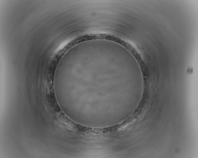 X0000091940871200709051520