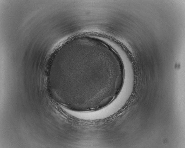 X0000091940872200709051520