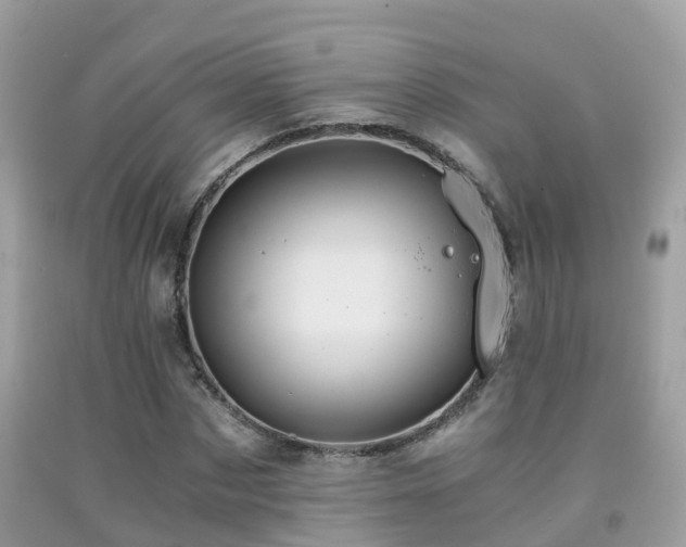 X0000091940873200709051520