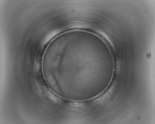 X0000091940874200709051520