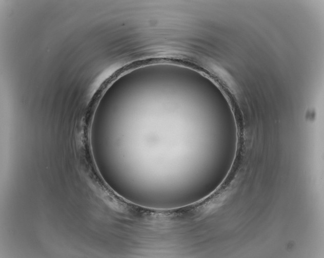 X0000091940875200709051520