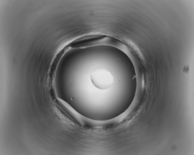 X0000091940876200709051520