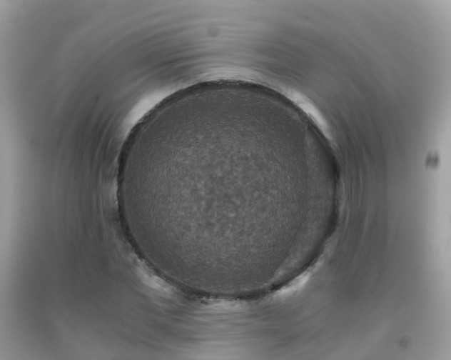 X0000091940877200709051520