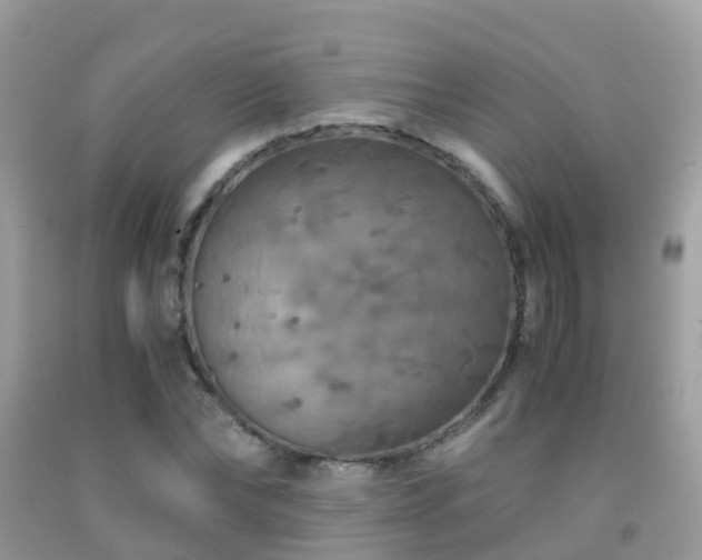 X0000091940878200709051520