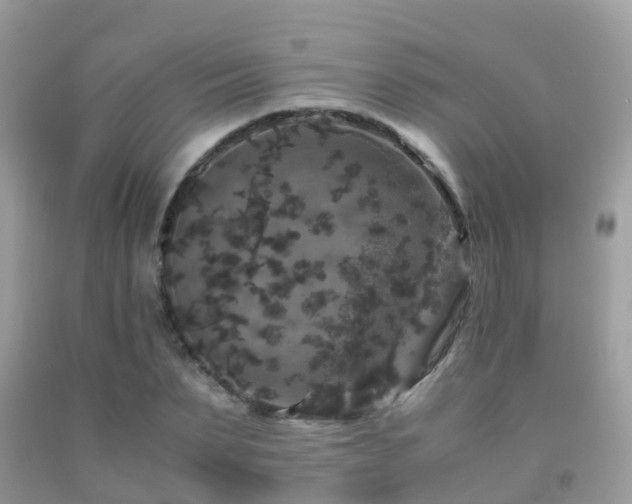 X0000091940879200709051520