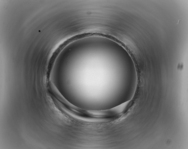 X0000091940880200709051520