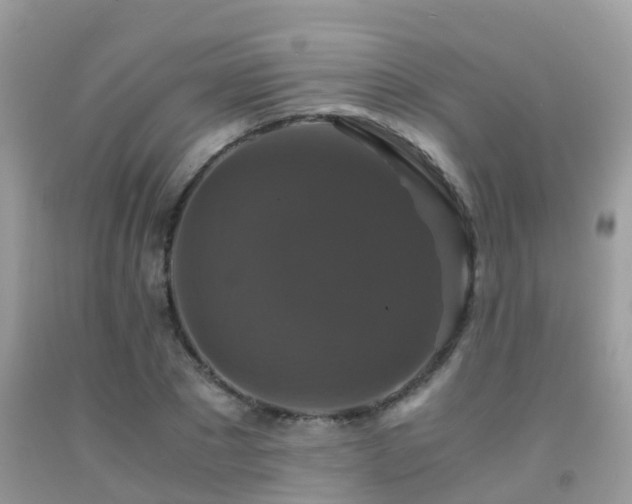 X0000091940881200709051520