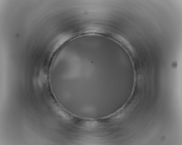 X0000091940882200709051520