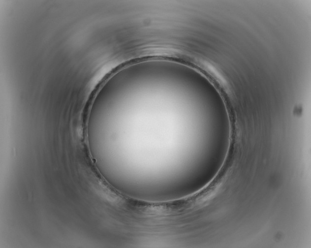 X0000091940883200709051520