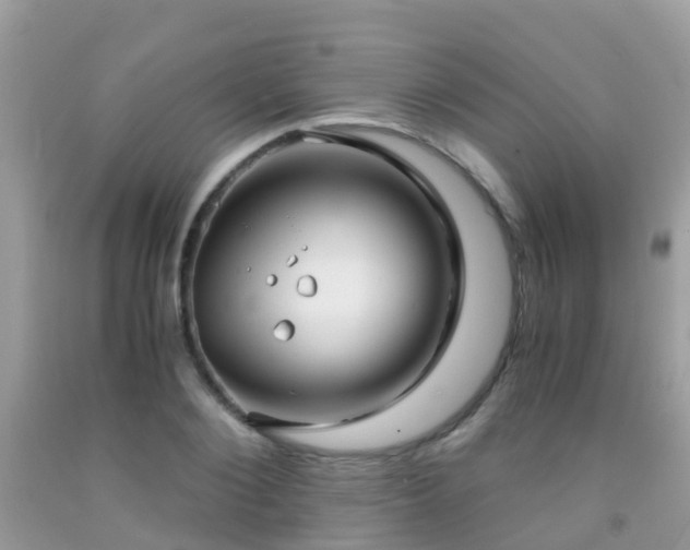 X0000091940884200709051520